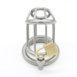 Chastity Cage With Padlock - Sissy Panty Shop
