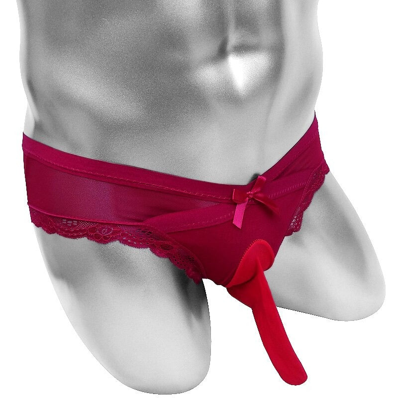 Sheer Thin Mens Penis Sheath Pouch Briefs - Sissy Panty Shop