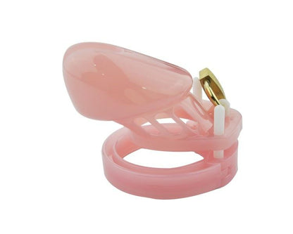 Pink Chastity Cage CB6000S - Sissy Panty Shop