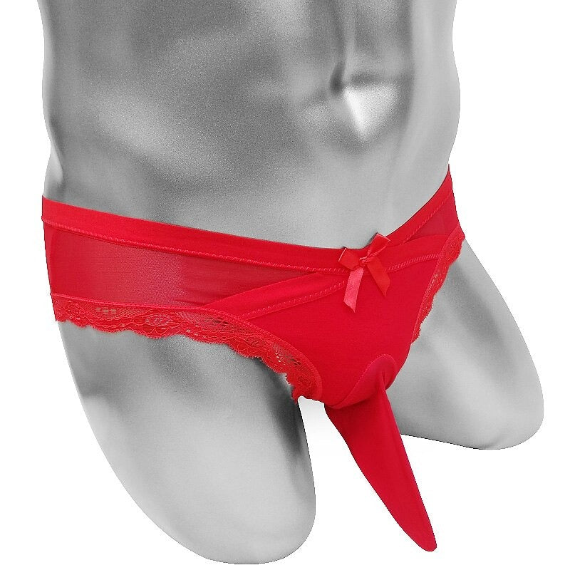 Sheer Thin Mens Penis Sheath Pouch Briefs - Sissy Panty Shop