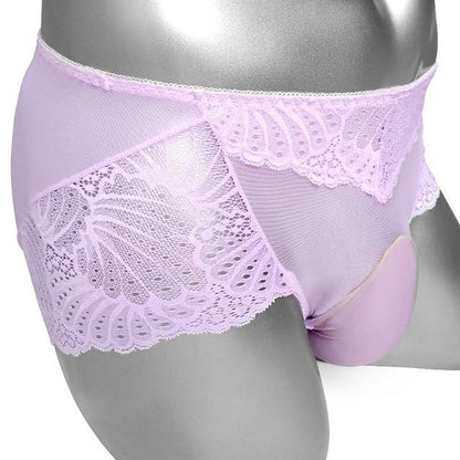 Sheer Lace Pouch Panties - Sissy Panty Shop