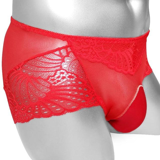 Sheer Lace Pouch Panties - Sissy Panty Shop