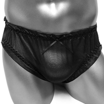 Shiny Nylon SilkY Sissy Panties - Sissy Panty Shop