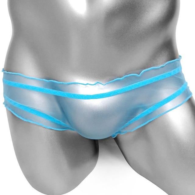 Ultra Thin Sheer Mesh Panties - Sissy Panty Shop