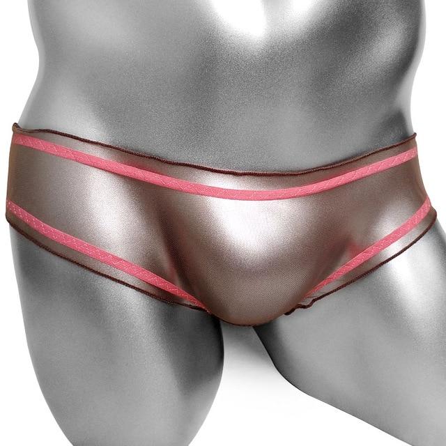 Ultra Thin Sheer Mesh Panties - Sissy Panty Shop