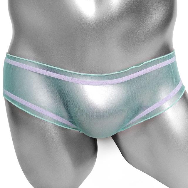 Ultra Thin Sheer Mesh Panties - Sissy Panty Shop