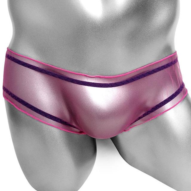 Ultra Thin Sheer Mesh Panties - Sissy Panty Shop