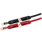 BDSM, DDLG, Oversized Lockable Choker - Sissy Panty Shop