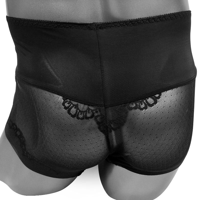 Sheer Pouch Sissy Panties - Sissy Panty Shop