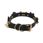 BDSM, DDLG Submissive Rose Choker w/ Key - Sissy Panty Shop