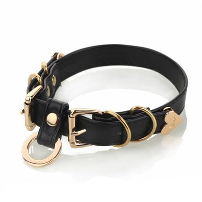 BDSM, DDLG Submissive Slave Choker - Sissy Panty Shop