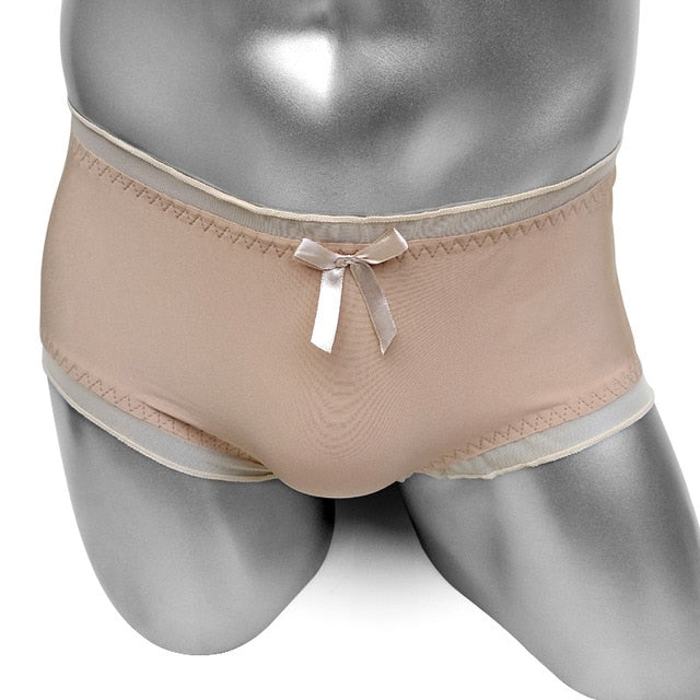 Softy Shiny Sissy Briefs - Sissy Panty Shop