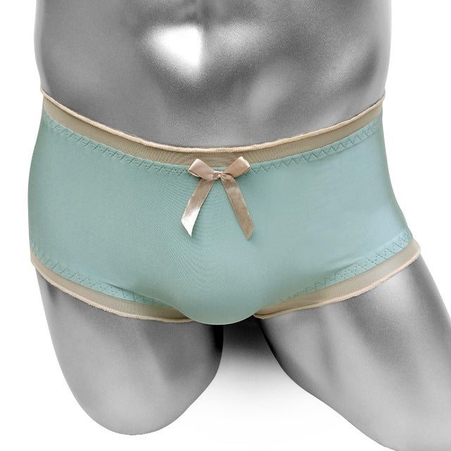 Softy Shiny Sissy Briefs - Sissy Panty Shop