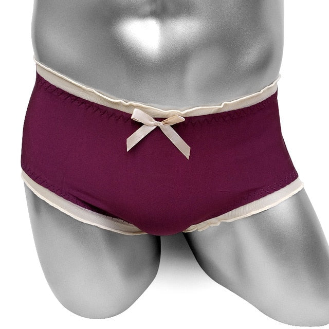 Softy Shiny Sissy Briefs - Sissy Panty Shop