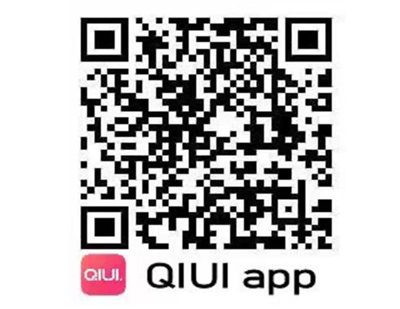 Cellmate Chastity Cage App Controlled - Sissy Panty Shop