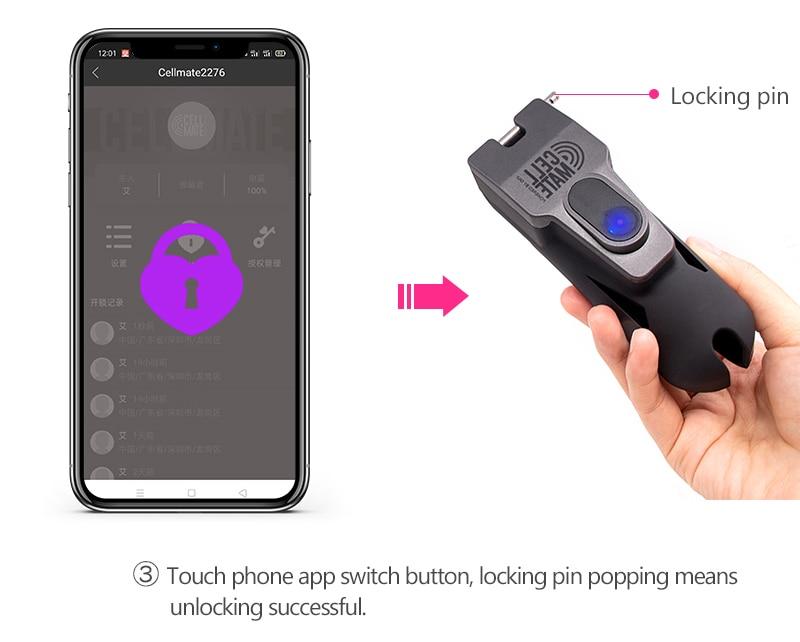 Cellmate Chastity Cage App Controlled - Sissy Panty Shop