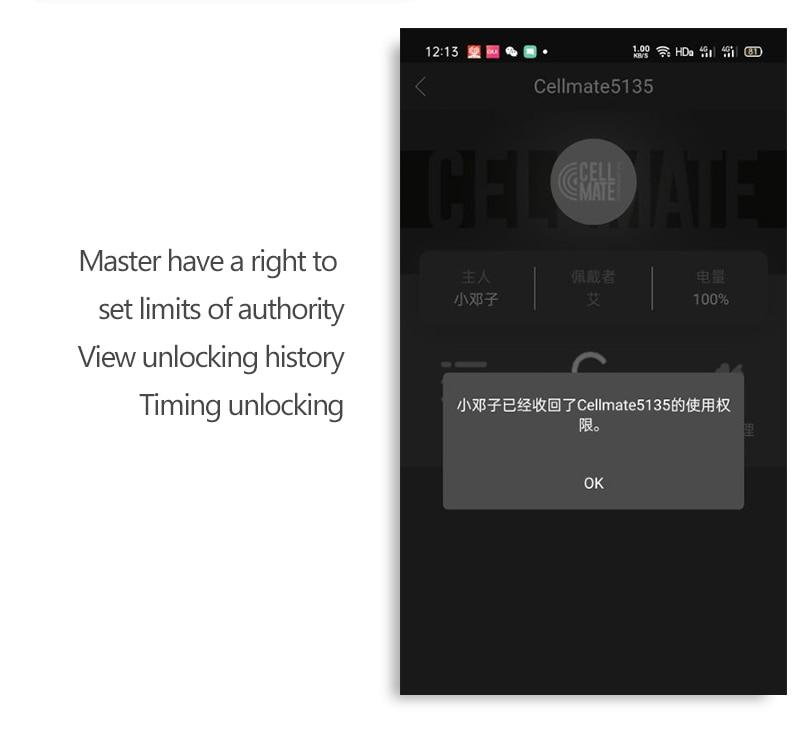 Cellmate Chastity Cage App Controlled - Sissy Panty Shop