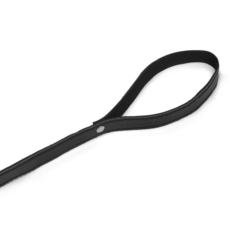 BDSM Leather Plush Collar And Leash - Sissy Panty Shop