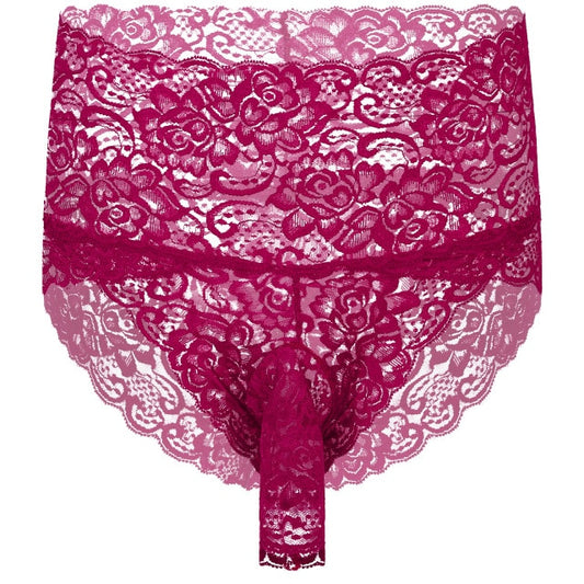 "Naughty Sissy" See-Through Lace Briefs - Sissy Panty Shop