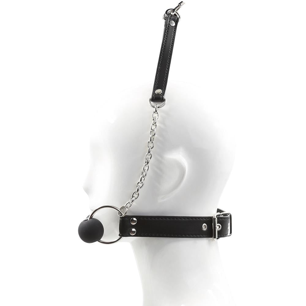 Dog Bone Ball Gag With Leash - Sissy Panty Shop