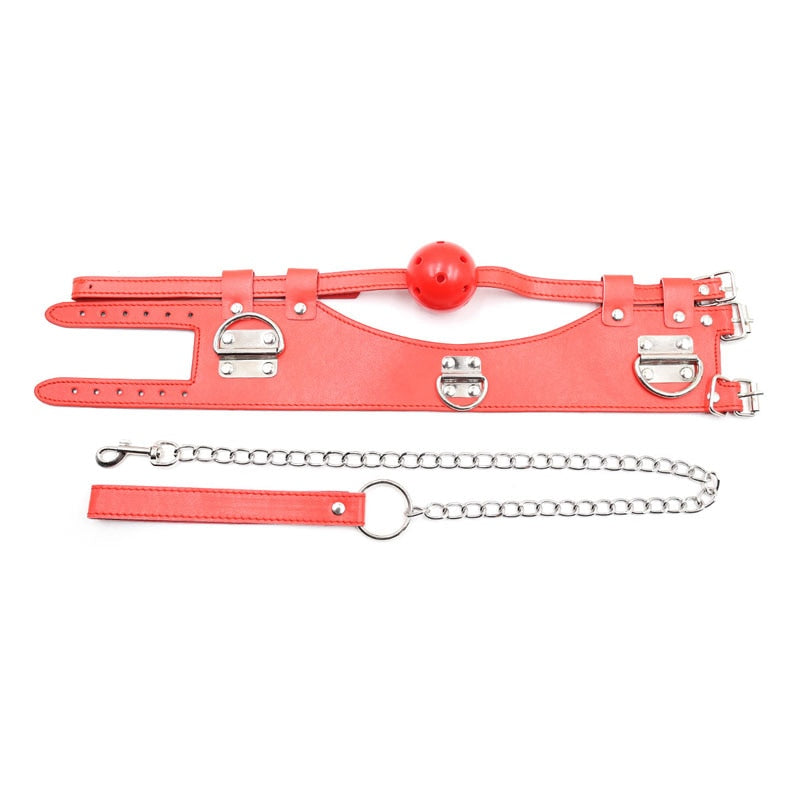 Slave Collar With Mouth Gag Ball - Sissy Panty Shop