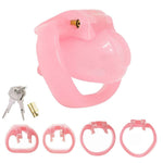 "Slutty Nora" Pink Chastity Cage - Sissy Panty Shop