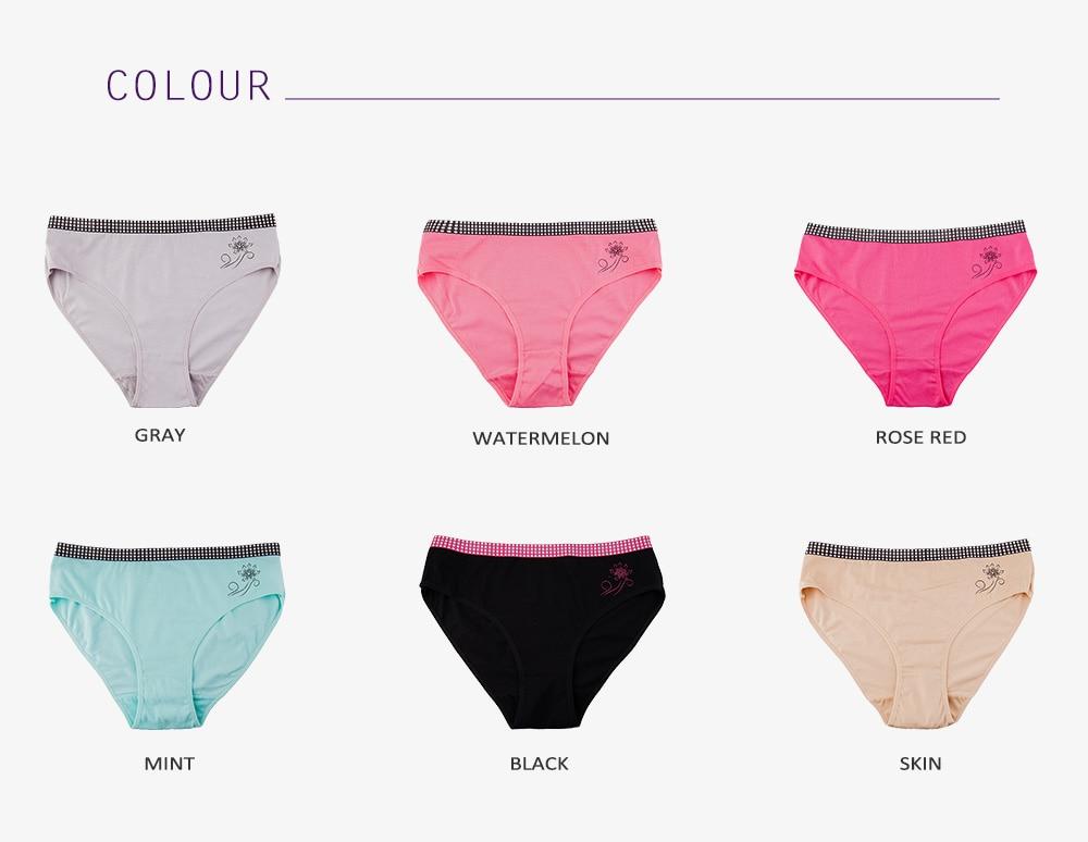6 Pcs Cotton Sissy Panties - Sissy Panty Shop